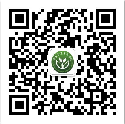 手机版二维码 手机版二维码